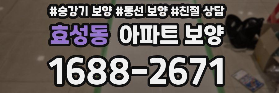 효성동 아파트 보양