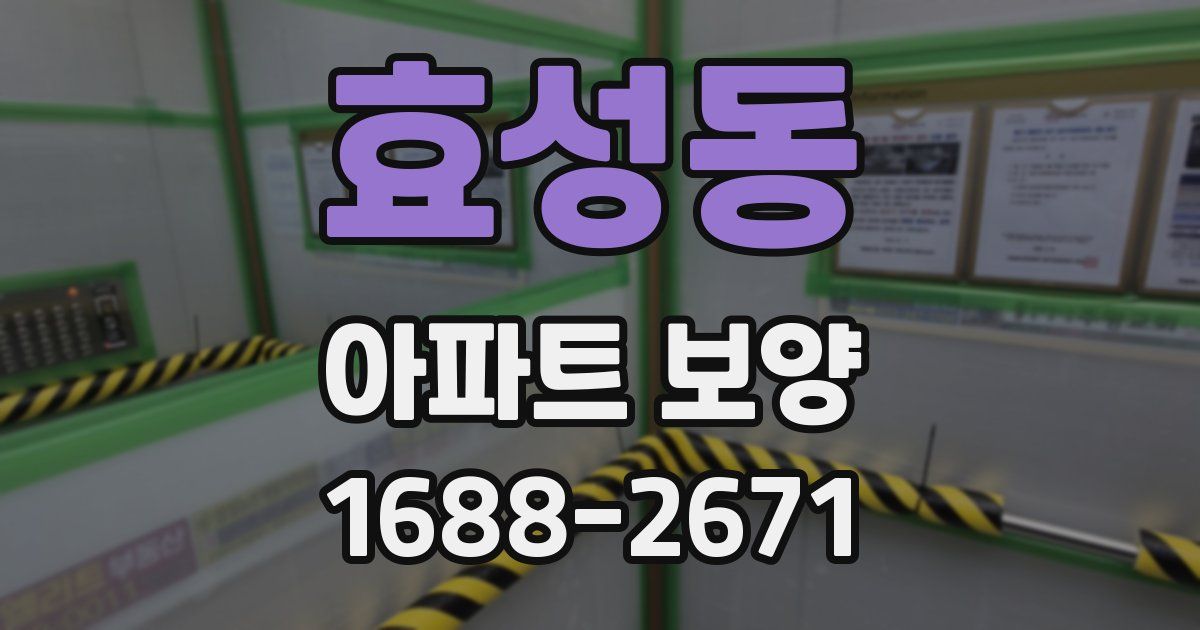 효성동 아파트 보양