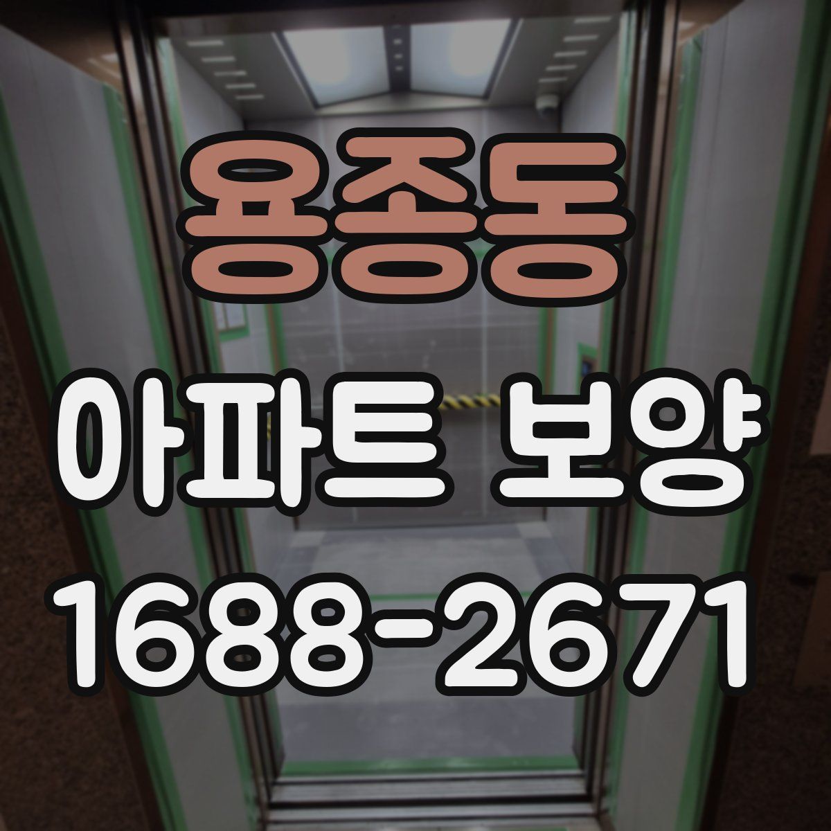 용종동 아파트 보양