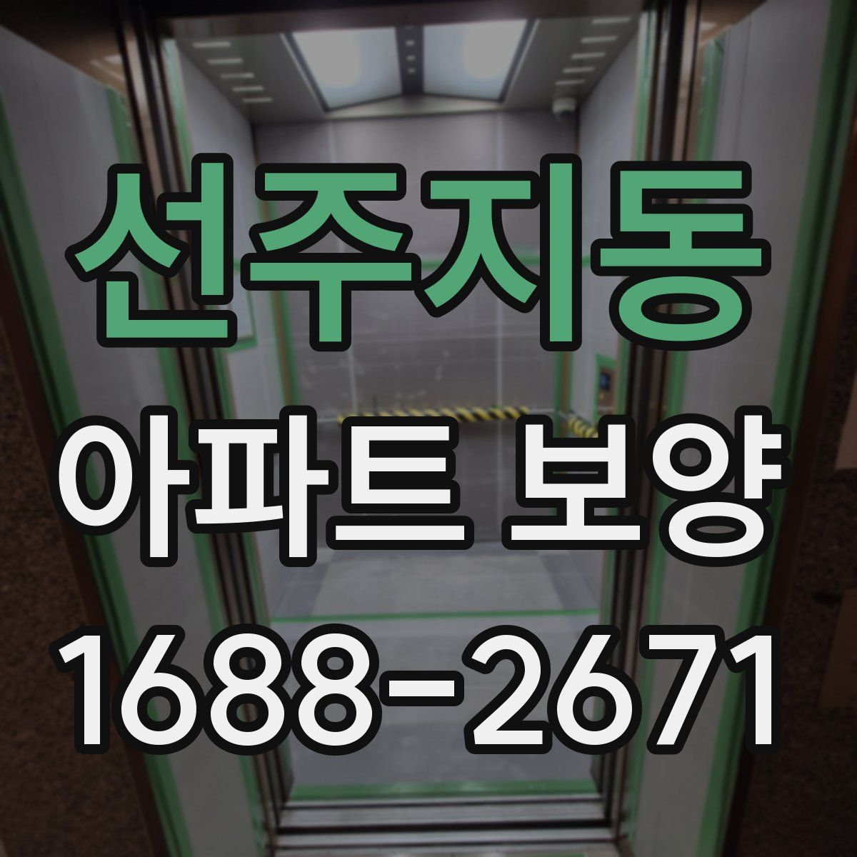 선주지동 아파트 보양