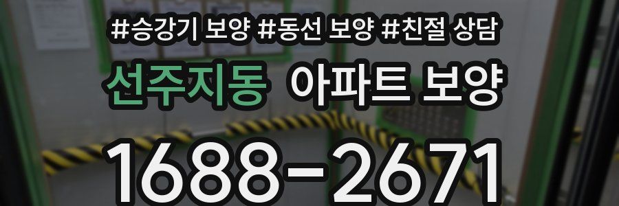 선주지동 아파트 보양