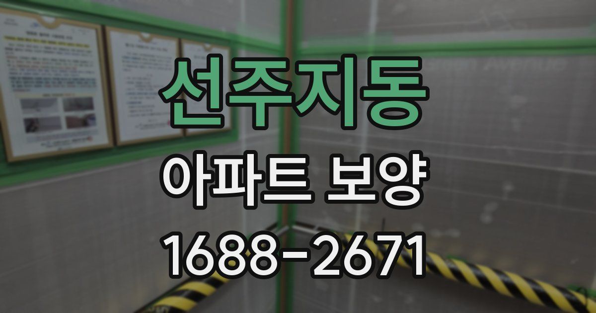 선주지동 아파트 보양