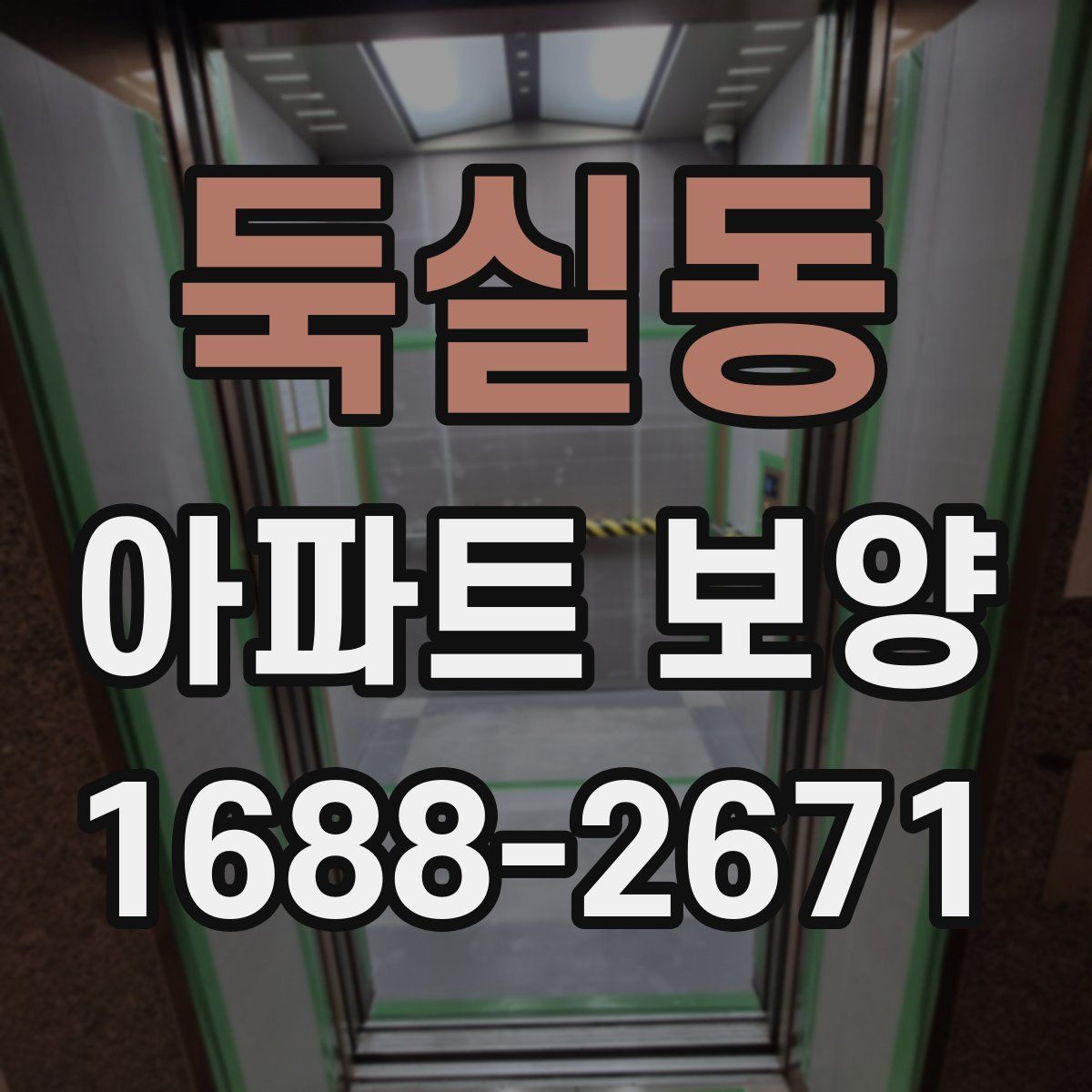 둑실동 아파트 보양