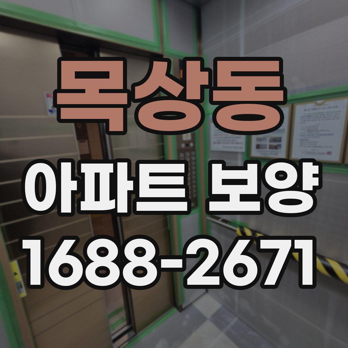 목상동 아파트 보양