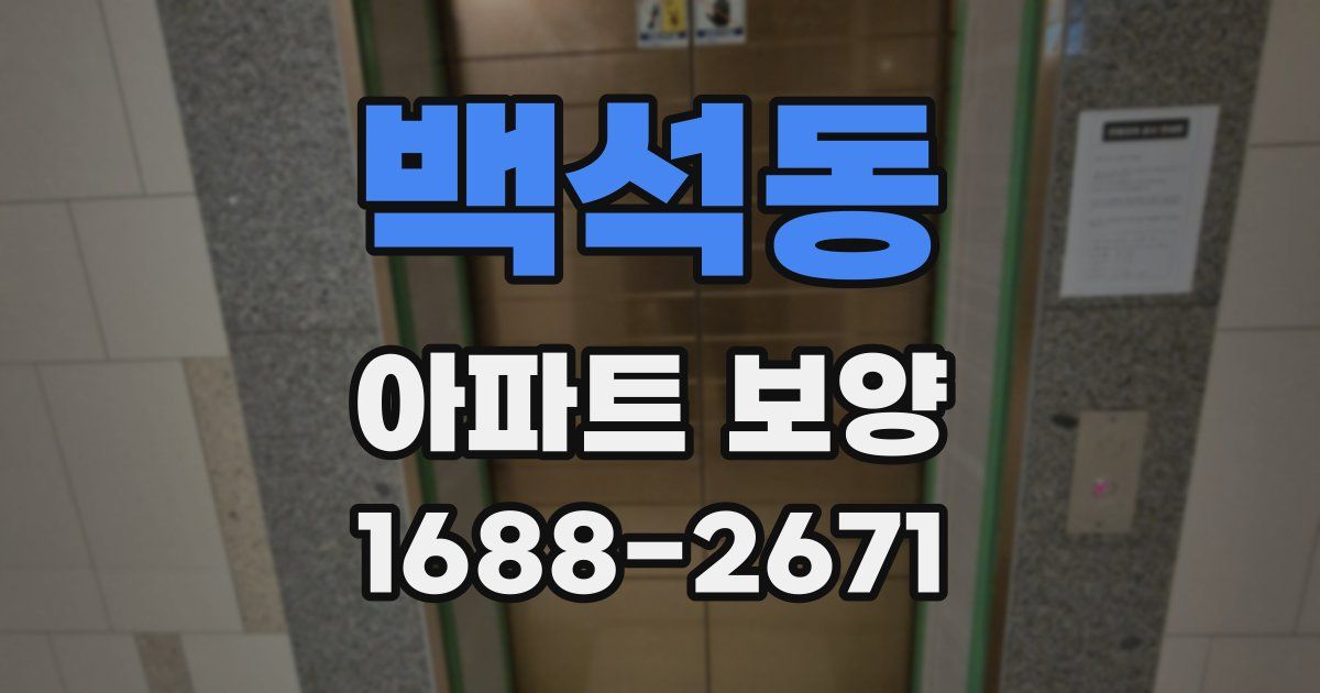백석동 아파트 보양