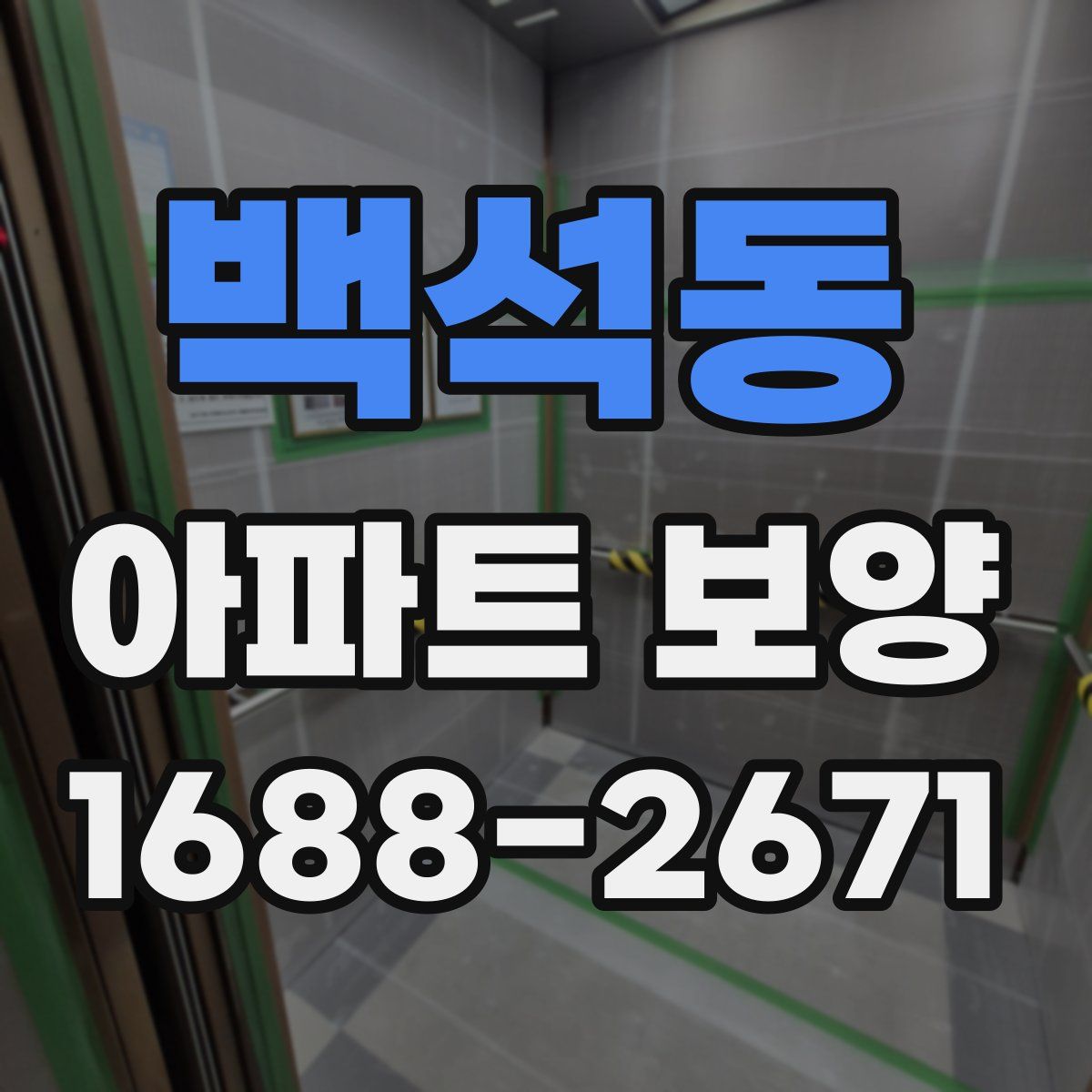 백석동 아파트 보양