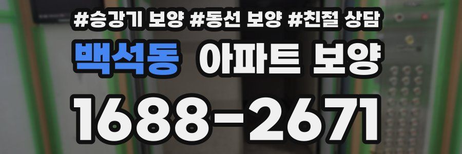 백석동 아파트 보양