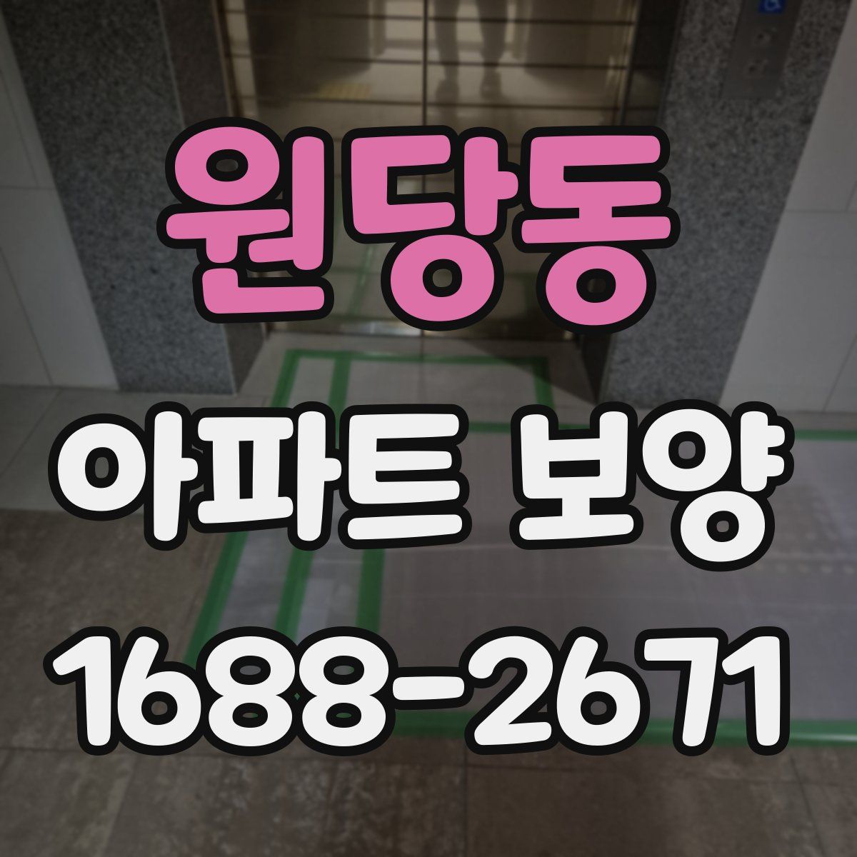 원당동 아파트 보양