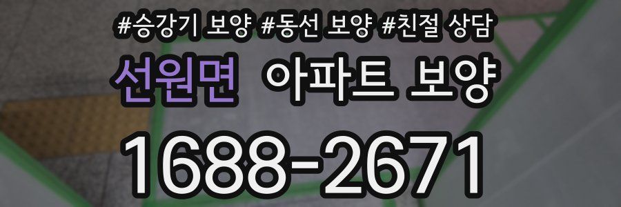 선원면 아파트 보양