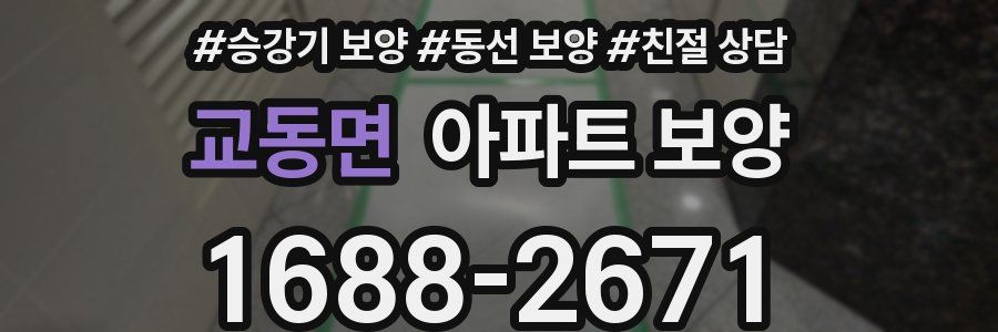 교동면 아파트 보양