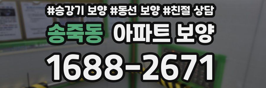 송죽동 아파트 보양