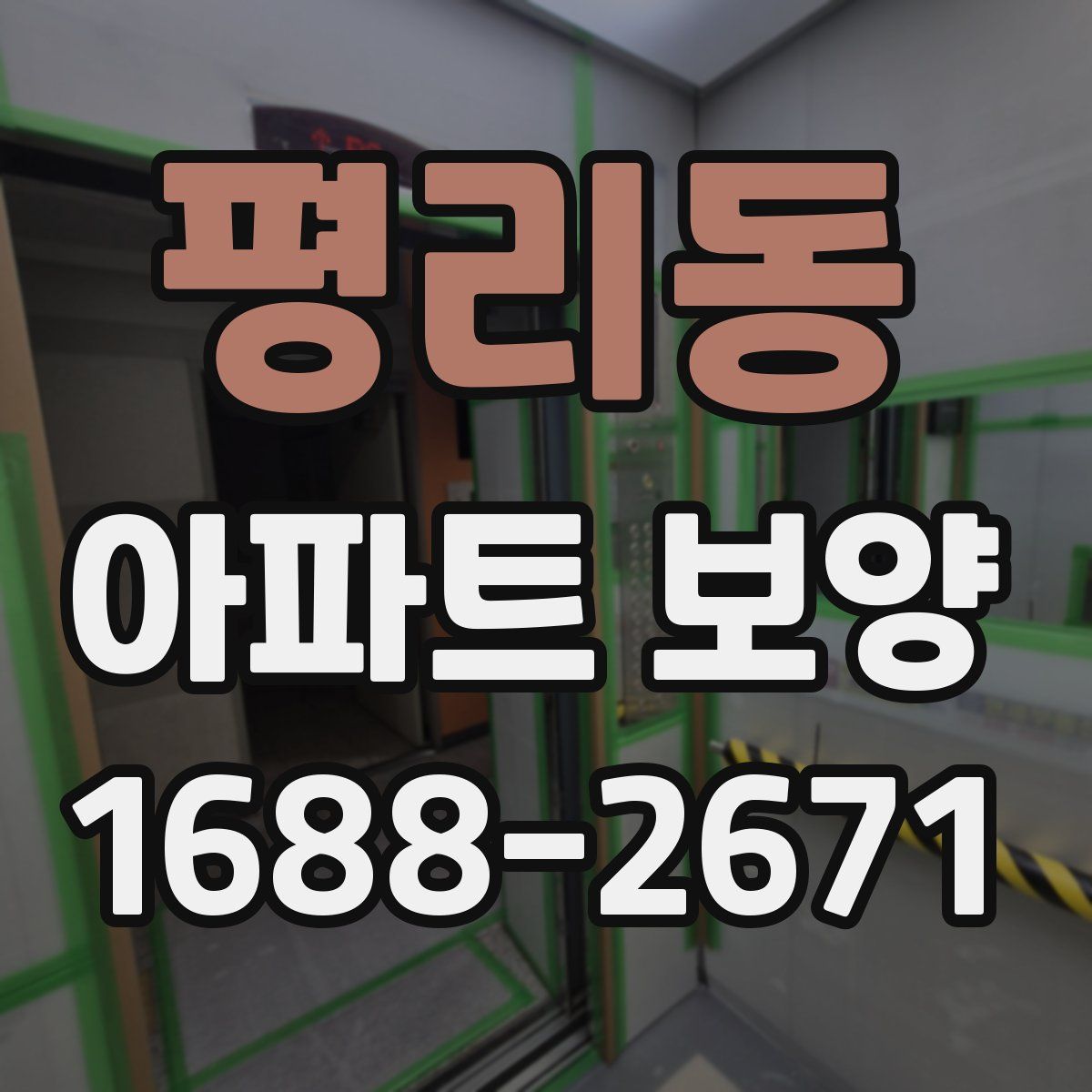 평리동 아파트 보양
