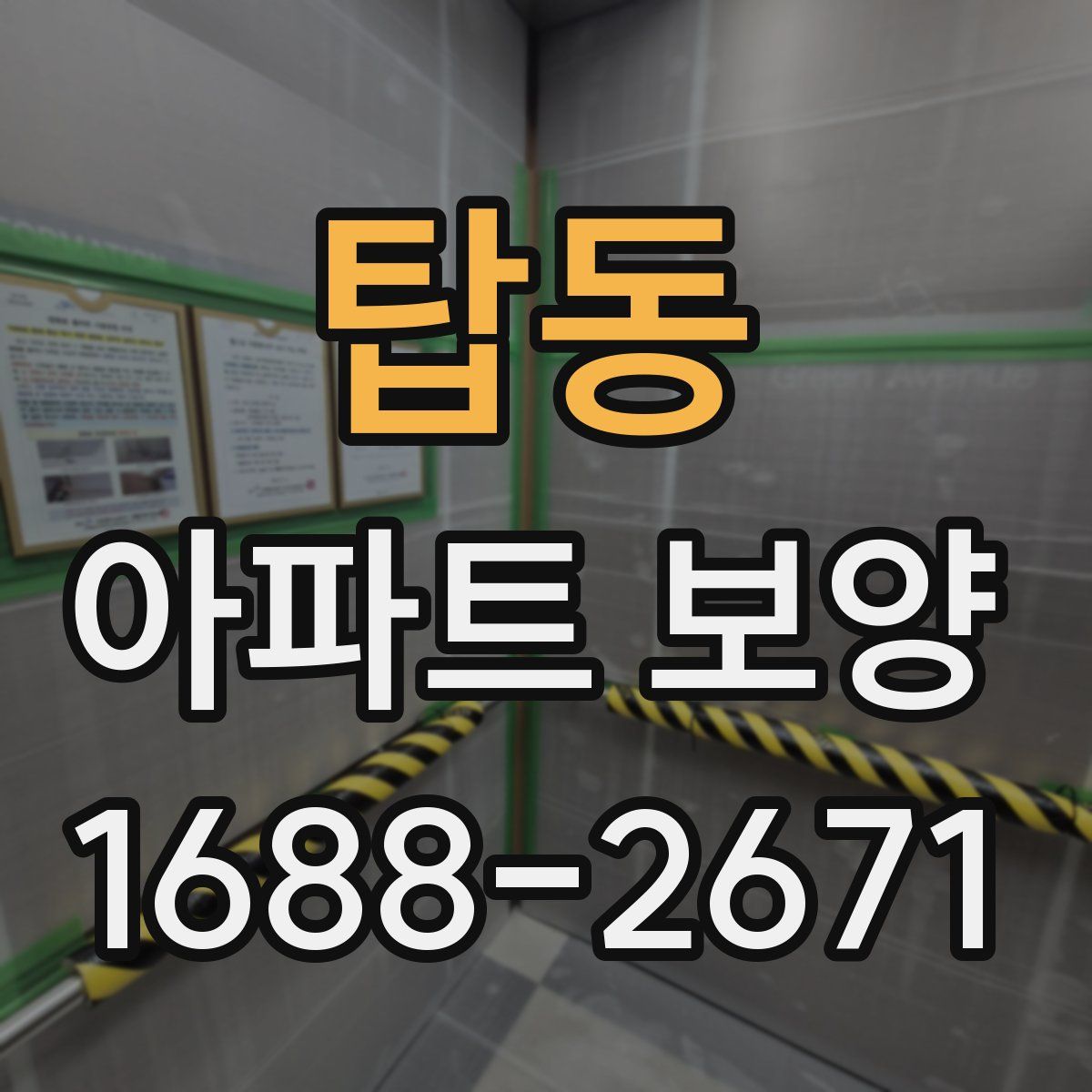 탑동 아파트 보양