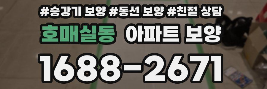 호매실동 아파트 보양