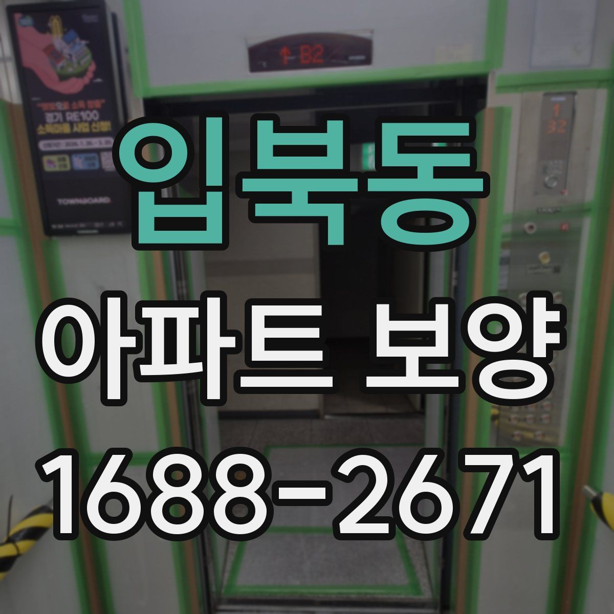 입북동 아파트 보양