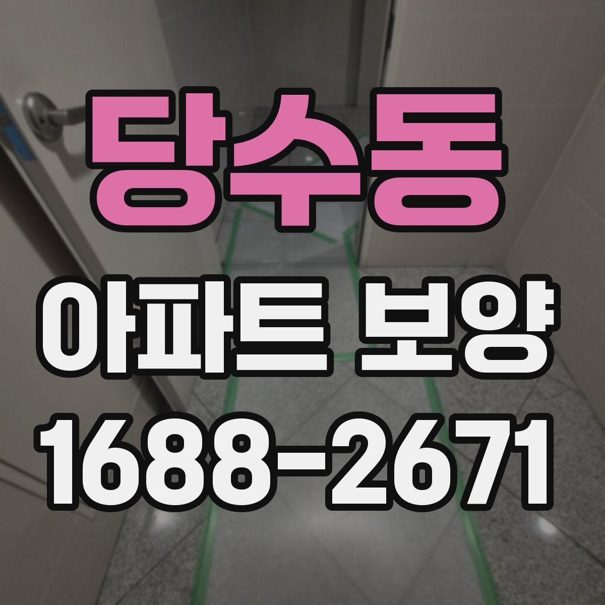 당수동 아파트 보양