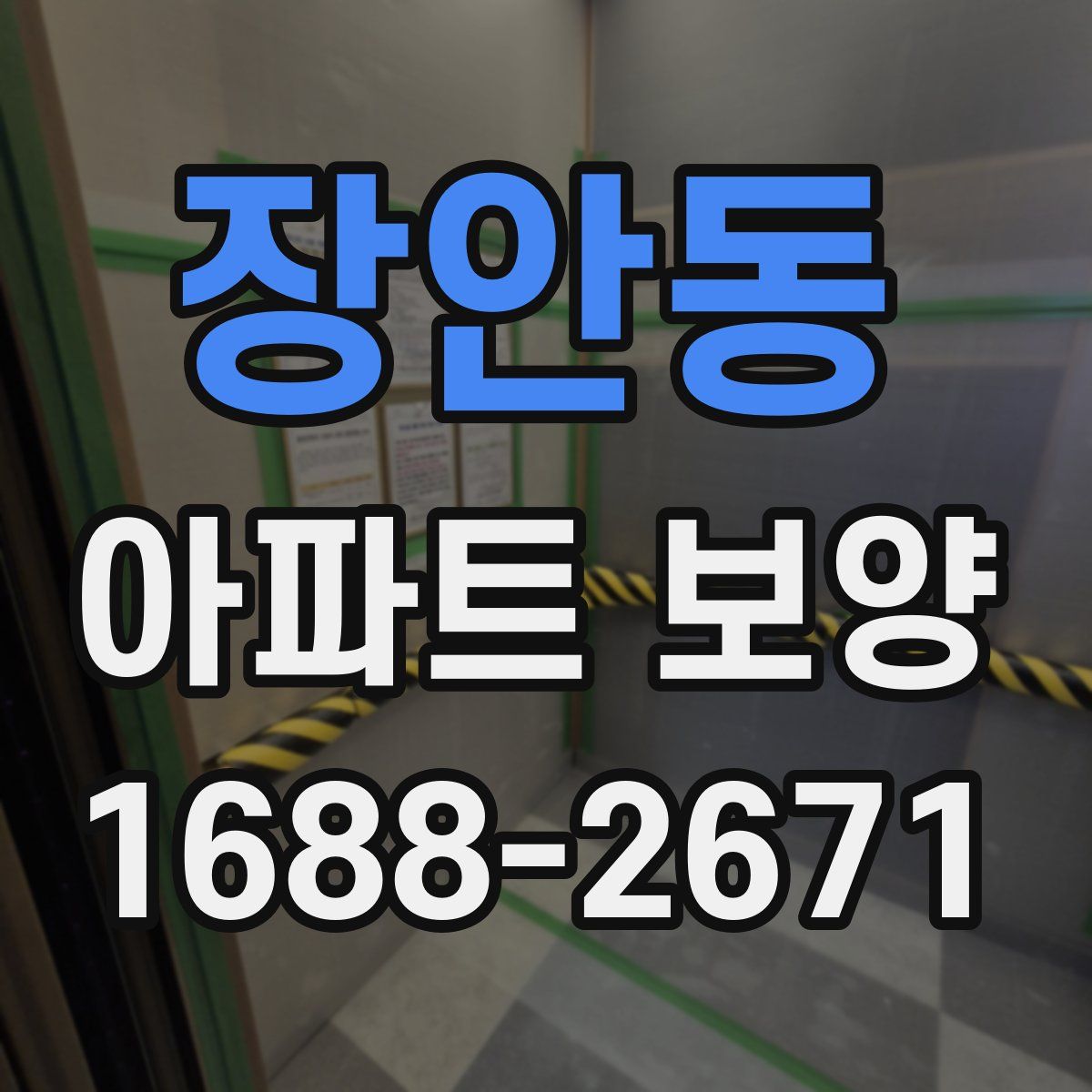 장안동 아파트 보양