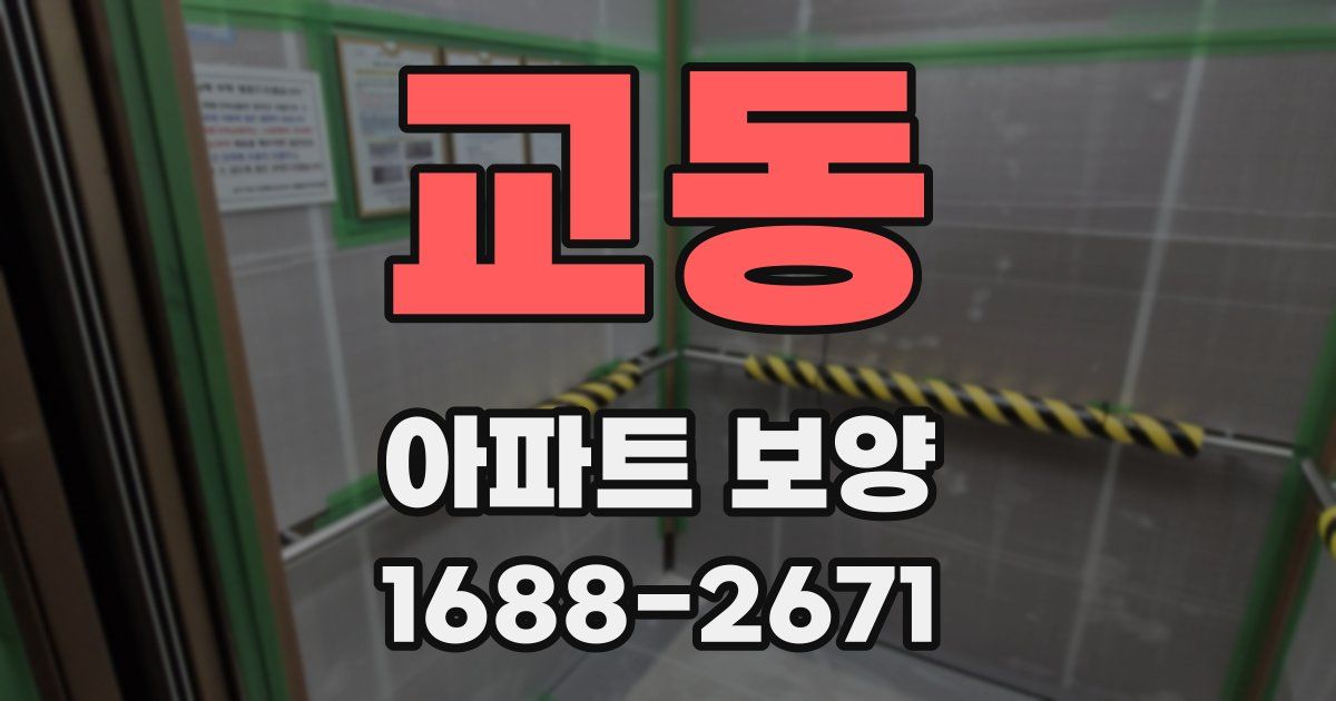 교동 아파트 보양