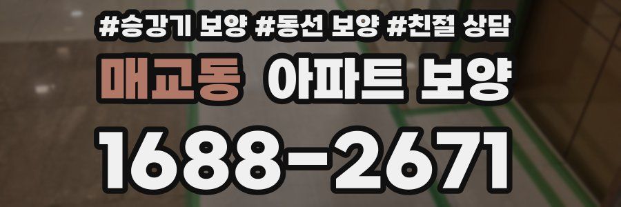 매교동 아파트 보양