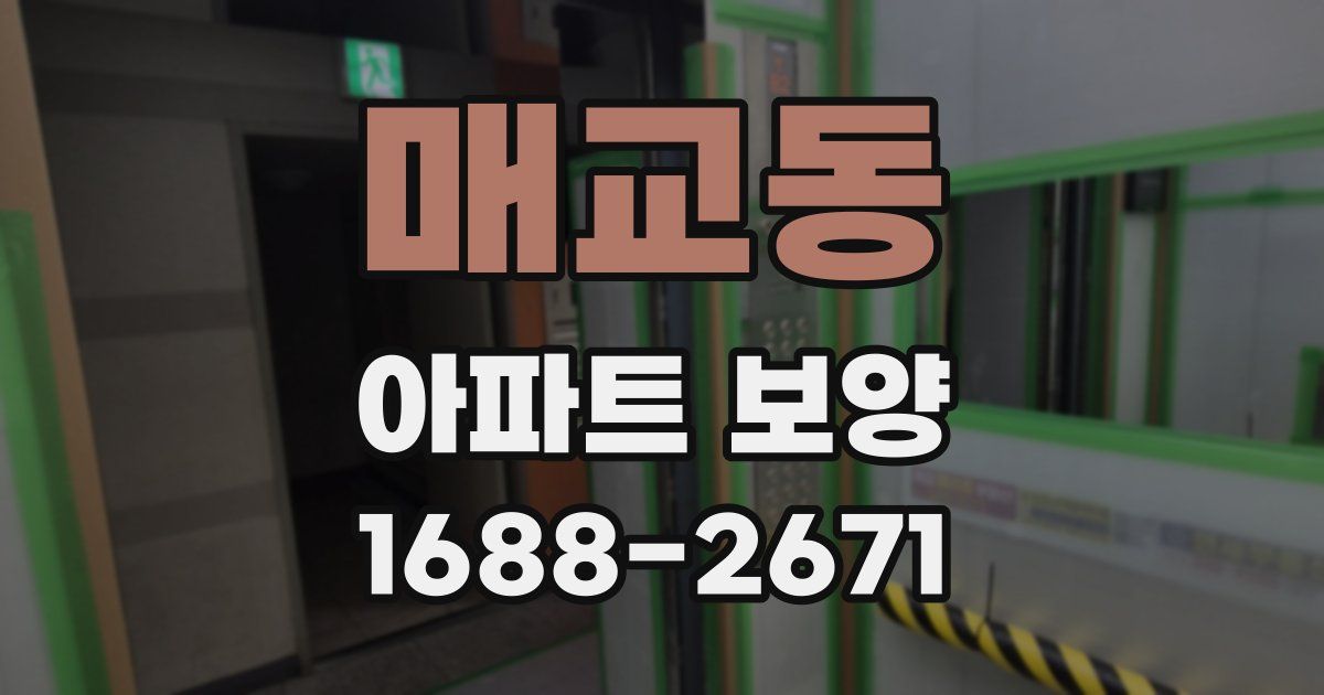 매교동 아파트 보양