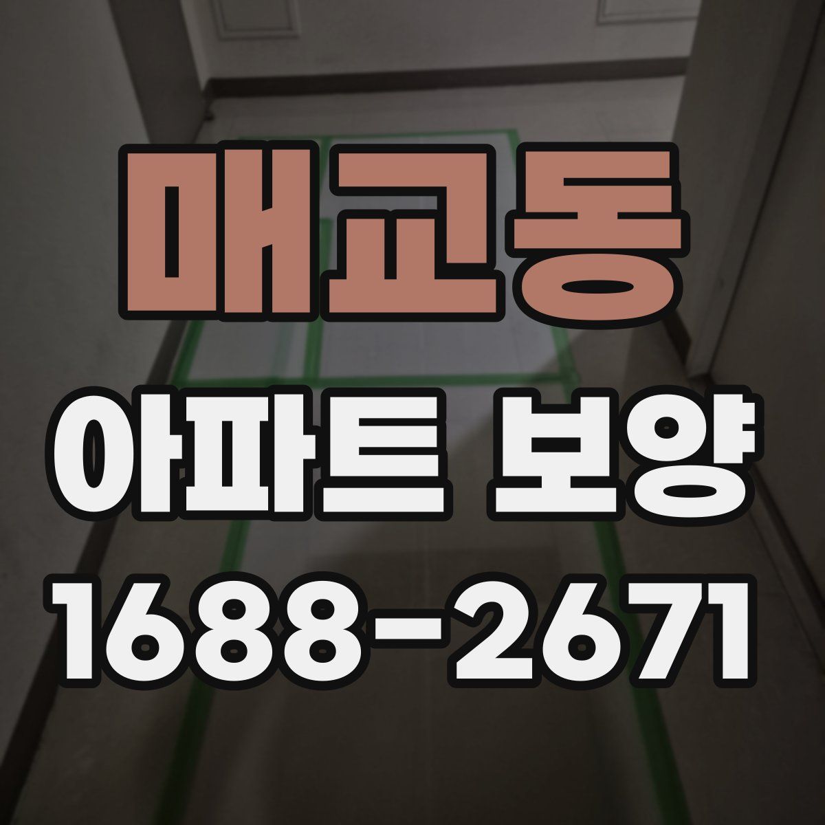 매교동 아파트 보양