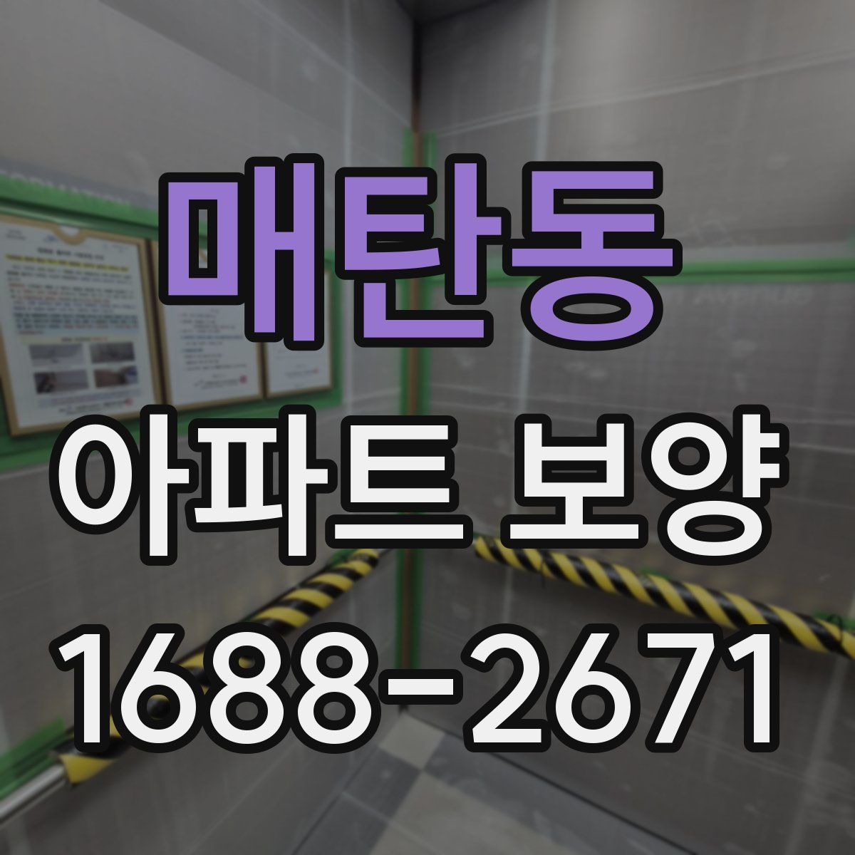 매탄동 아파트 보양