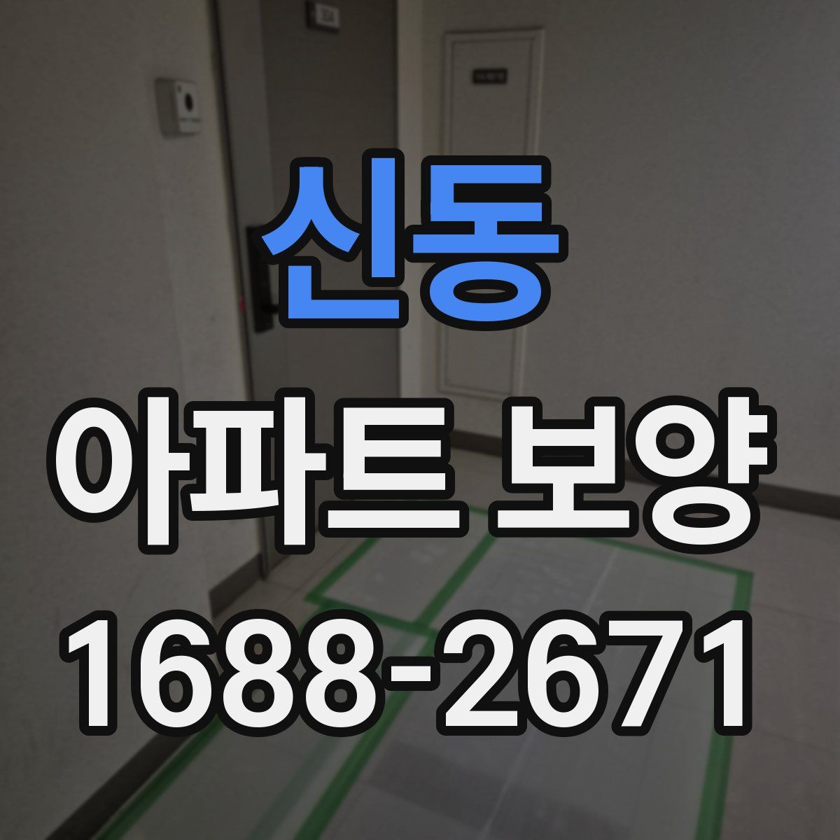 신동 아파트 보양