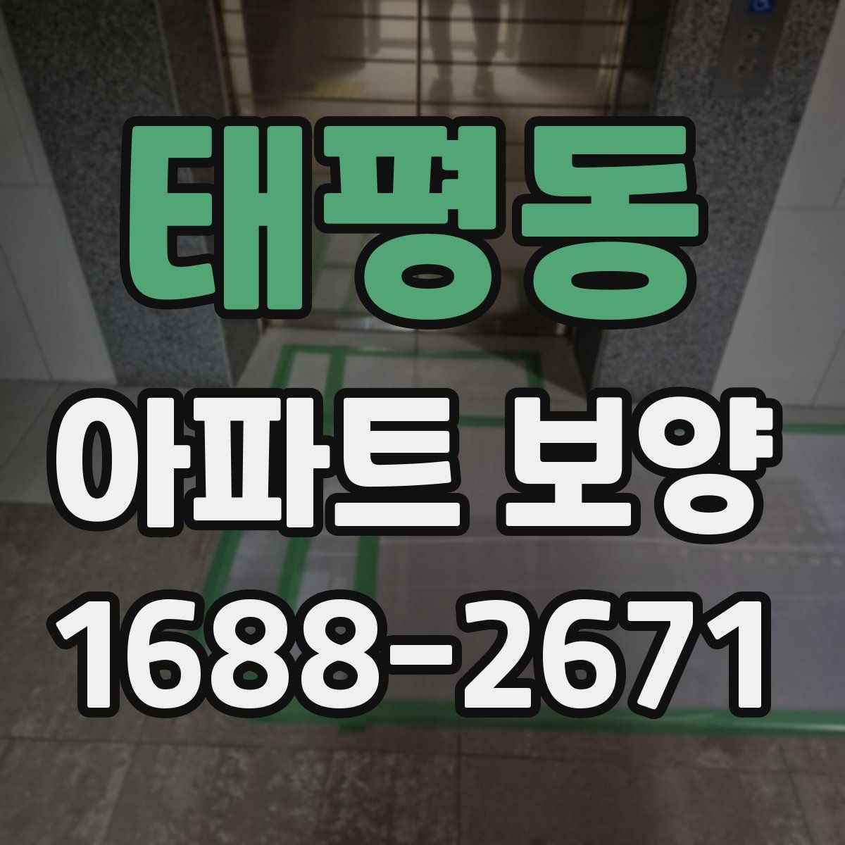 태평동 아파트 보양