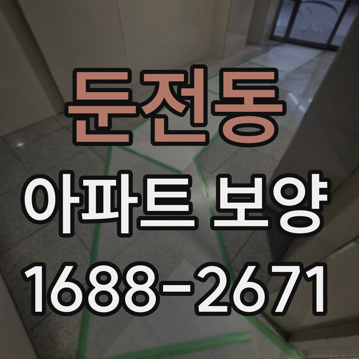 둔전동 아파트 보양
