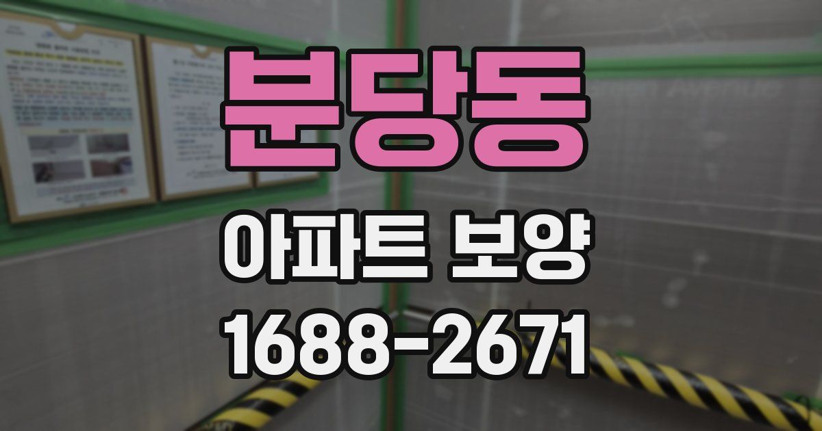 분당동 아파트 보양