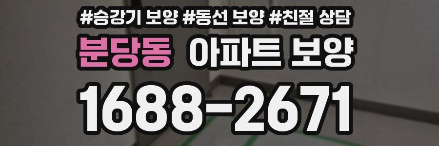 분당동 아파트 보양