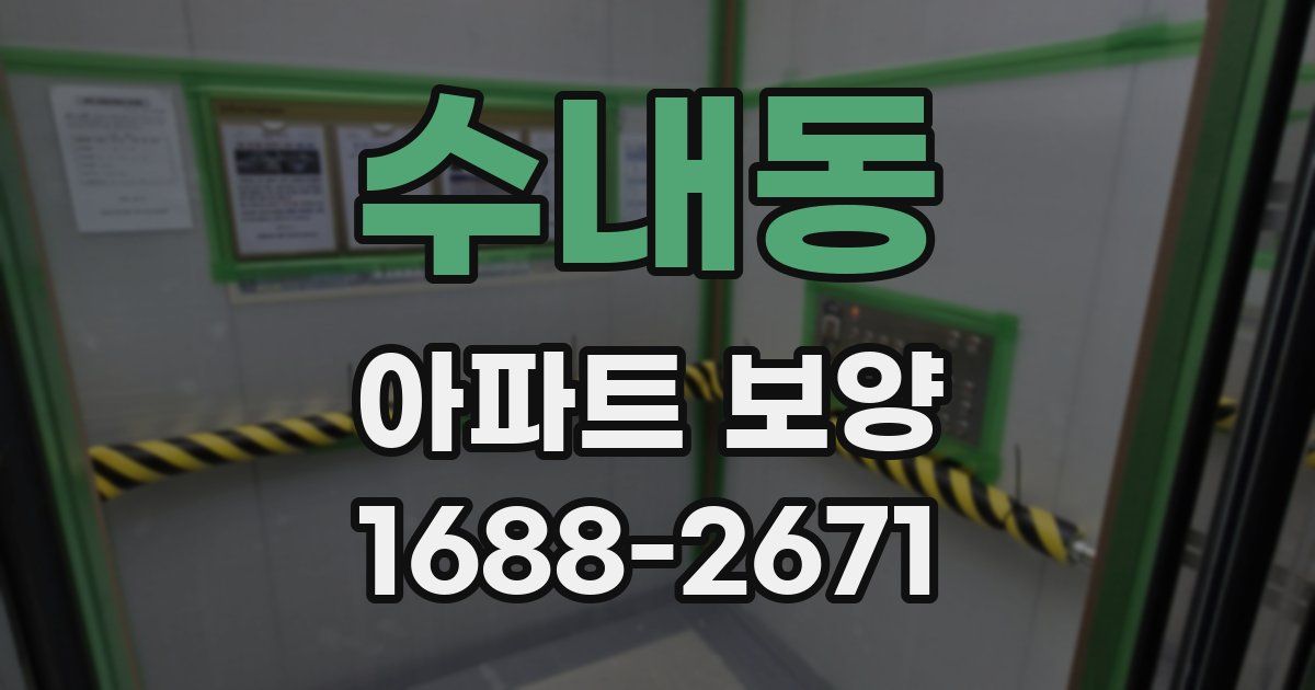 수내동 아파트 보양