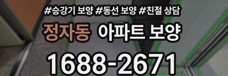 정자동 아파트 보양