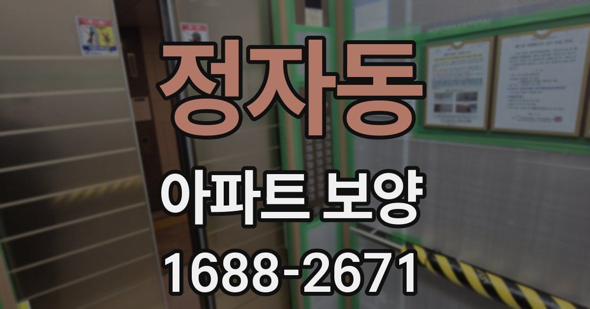 정자동 아파트 보양