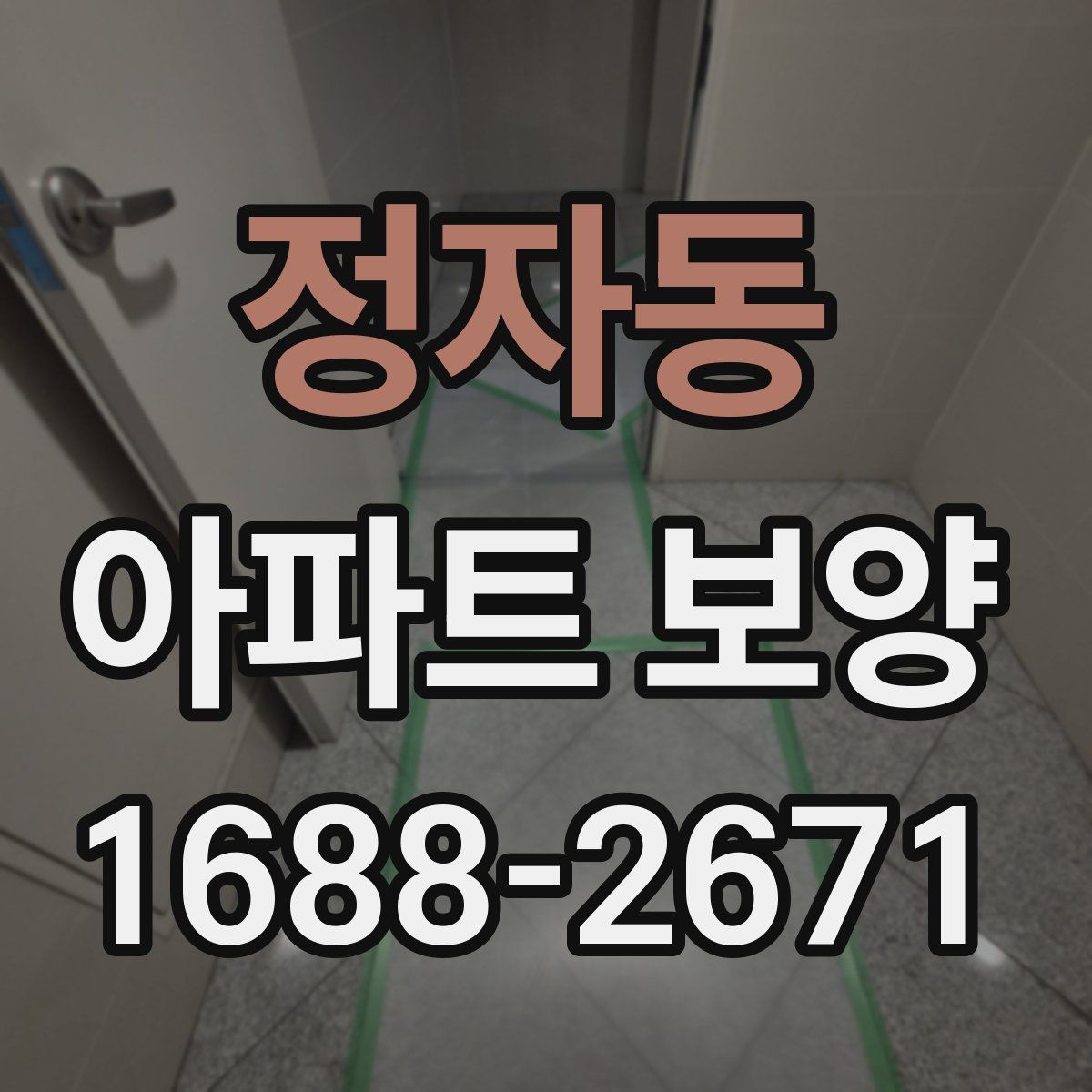 정자동 아파트 보양