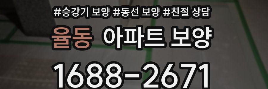 율동 아파트 보양