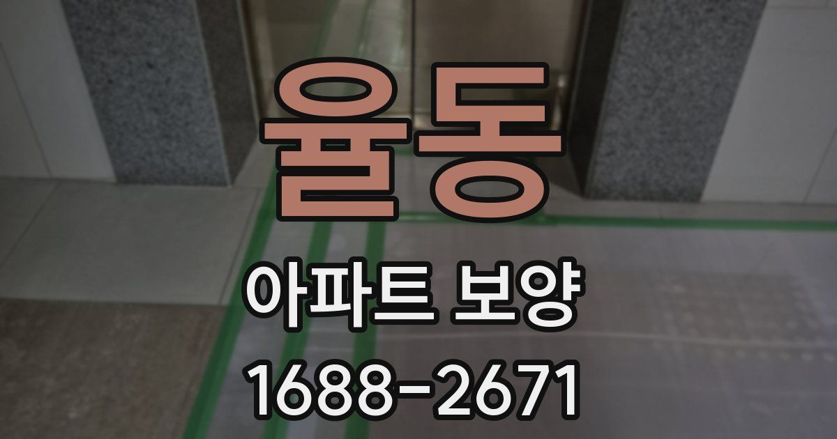 율동 아파트 보양