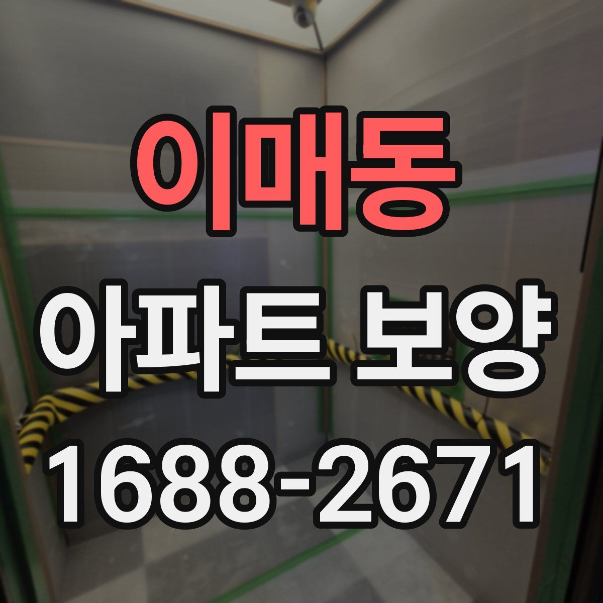 이매동 아파트 보양