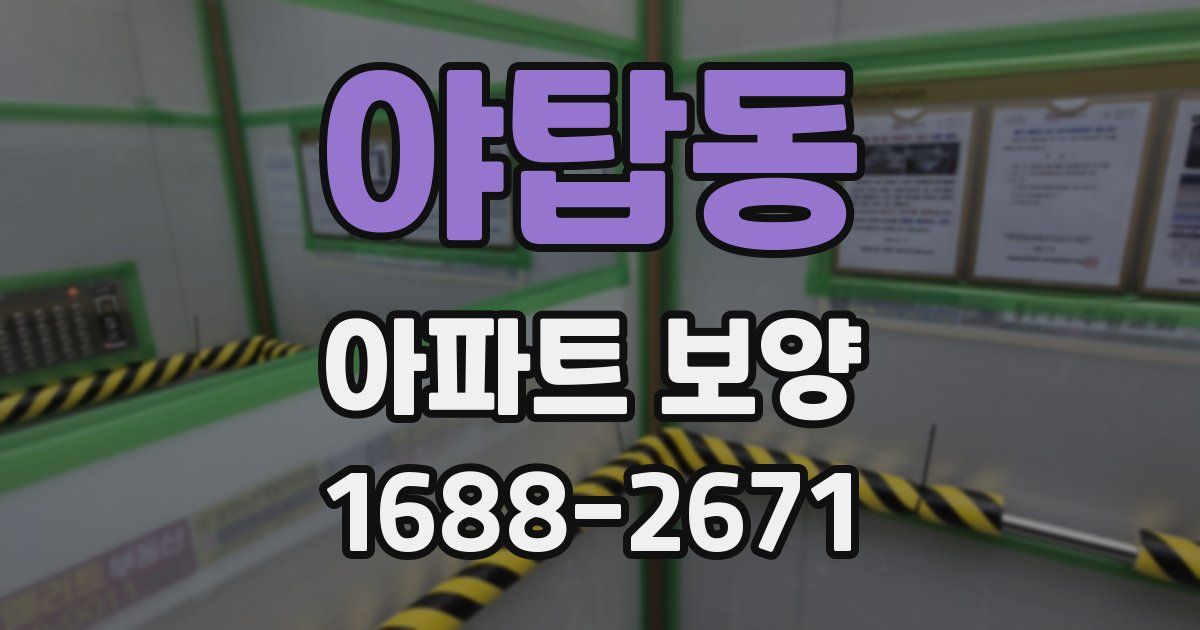 야탑동 아파트 보양