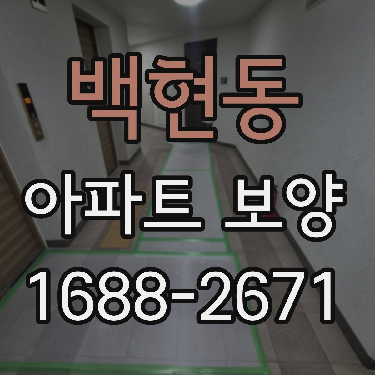 백현동 아파트 보양 상태에 따라 달라지는 대응