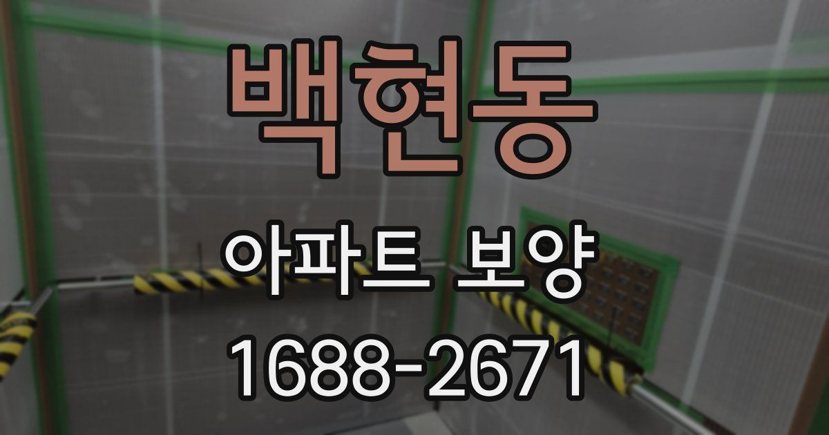 백현동 아파트 보양