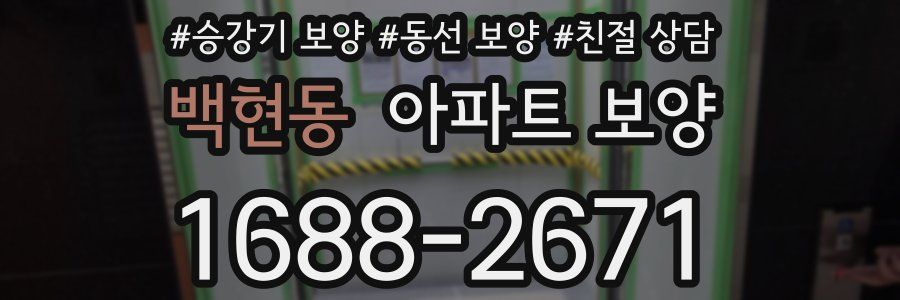 백현동 아파트 보양