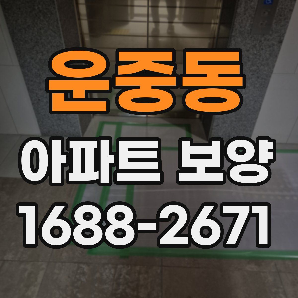 운중동 아파트 보양