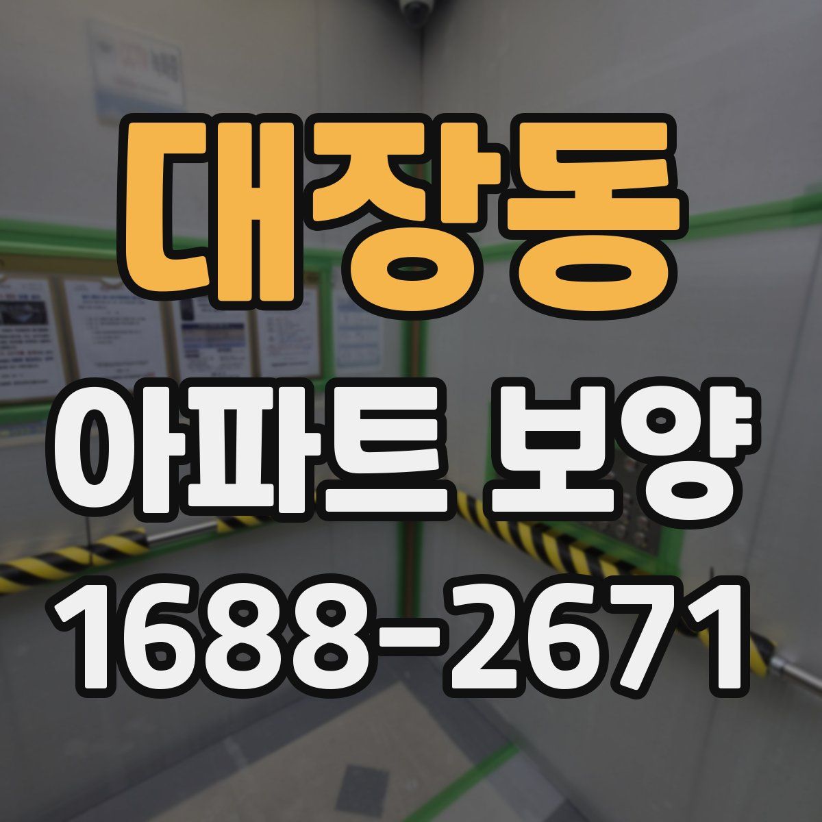 대장동 아파트 보양