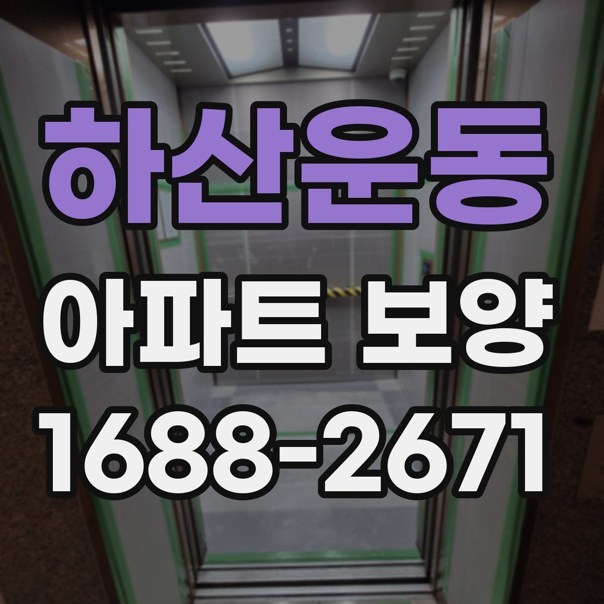 하산운동 아파트 보양