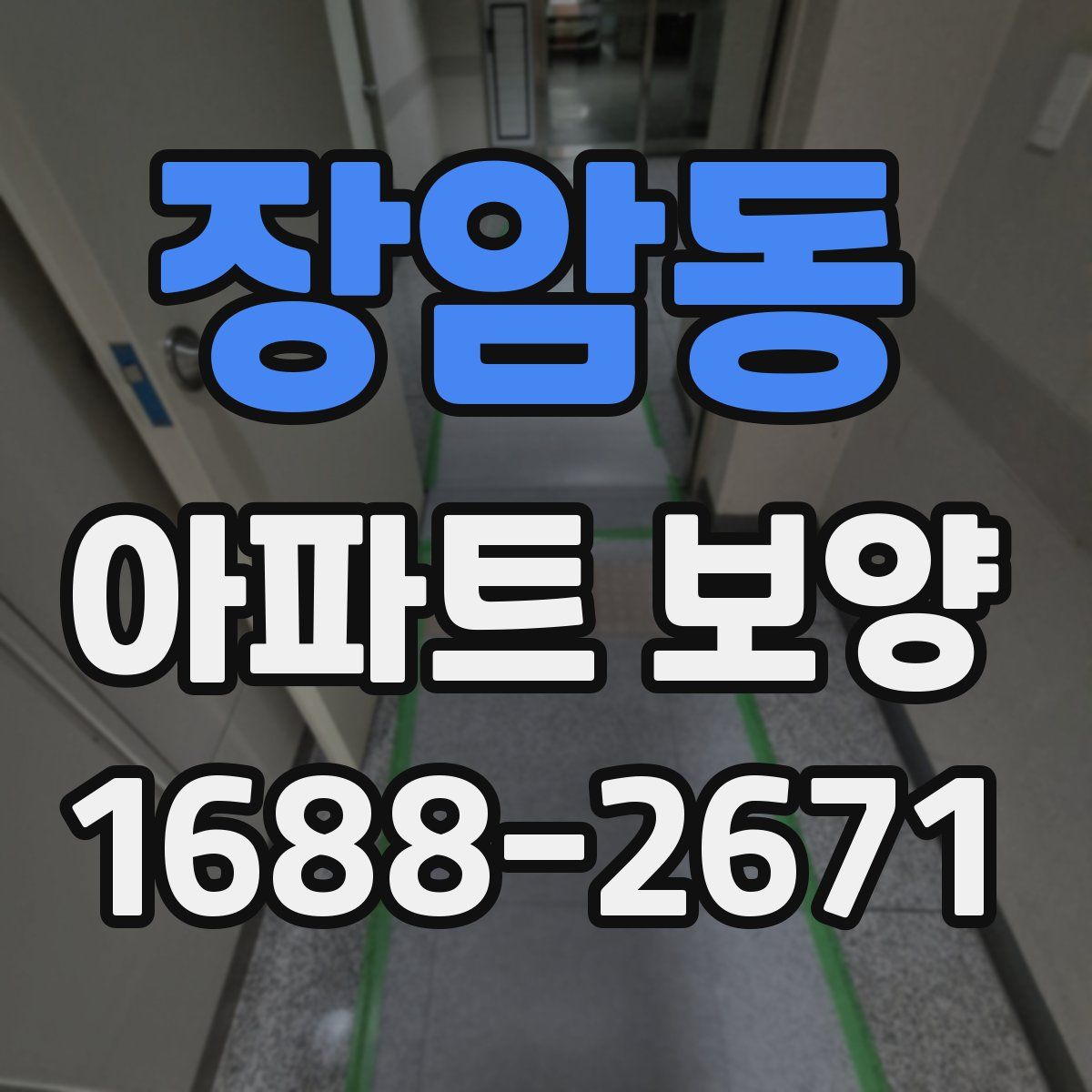 장암동 아파트 보양