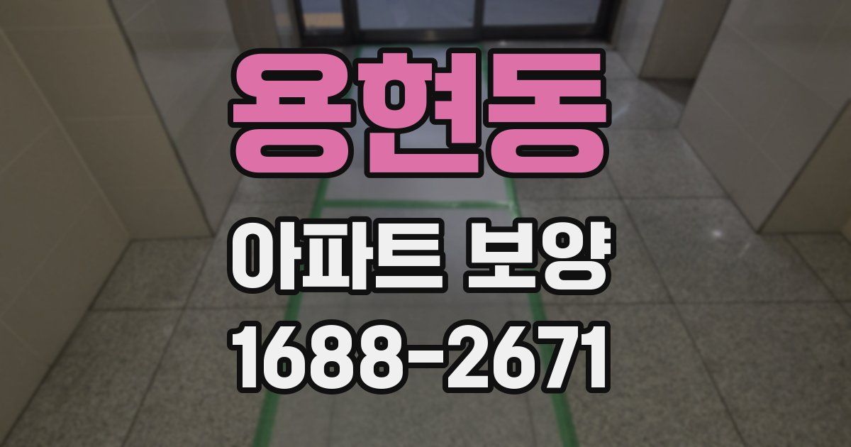 용현동 아파트 보양