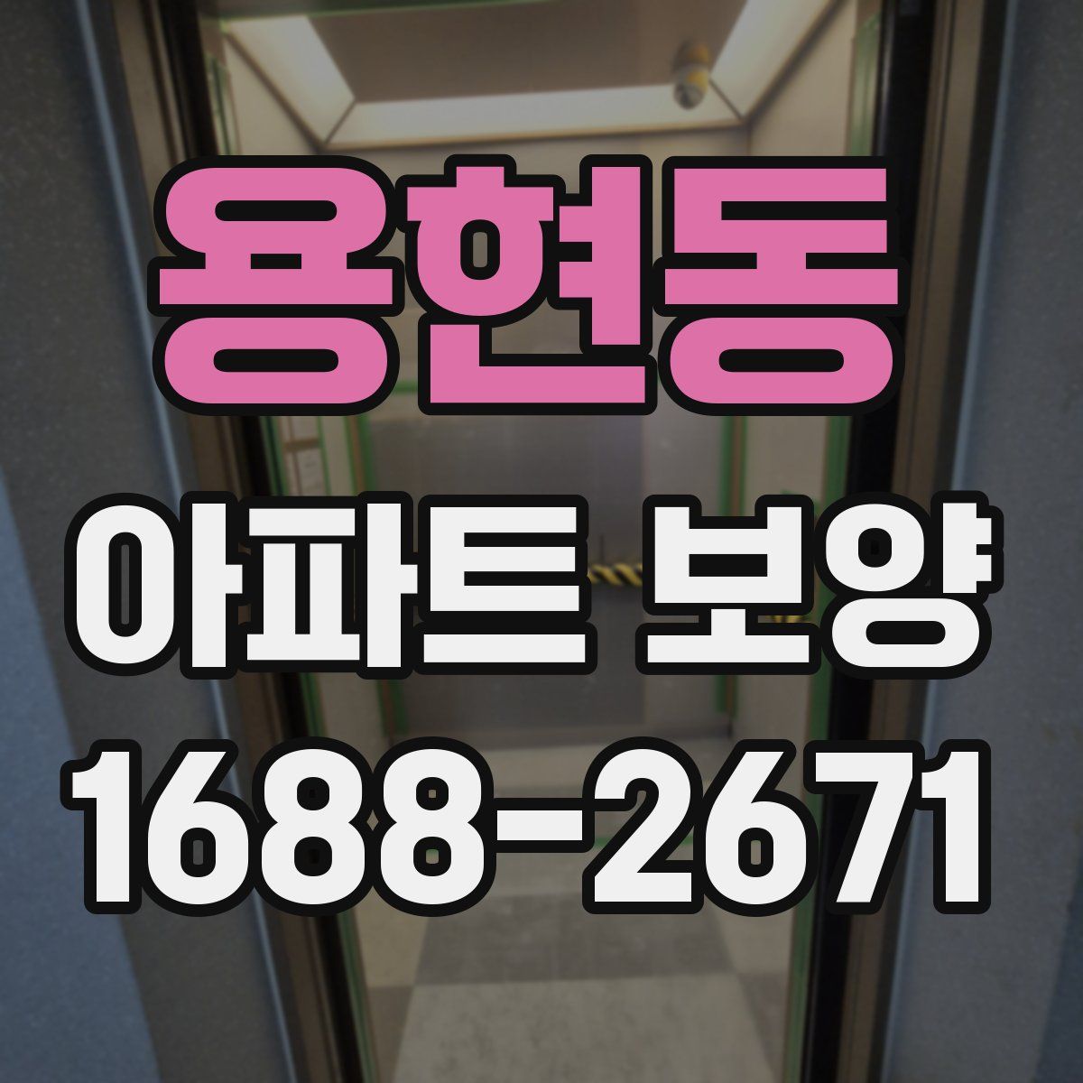 용현동 아파트 보양