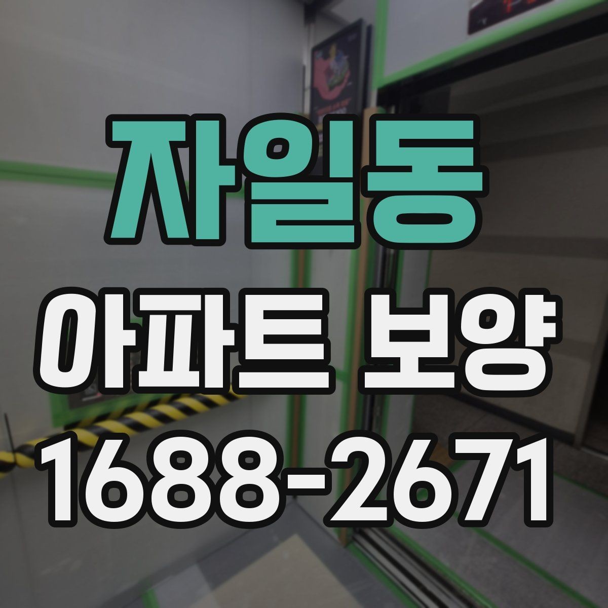 자일동 아파트 보양 구간별로 달라지는 작업 내용