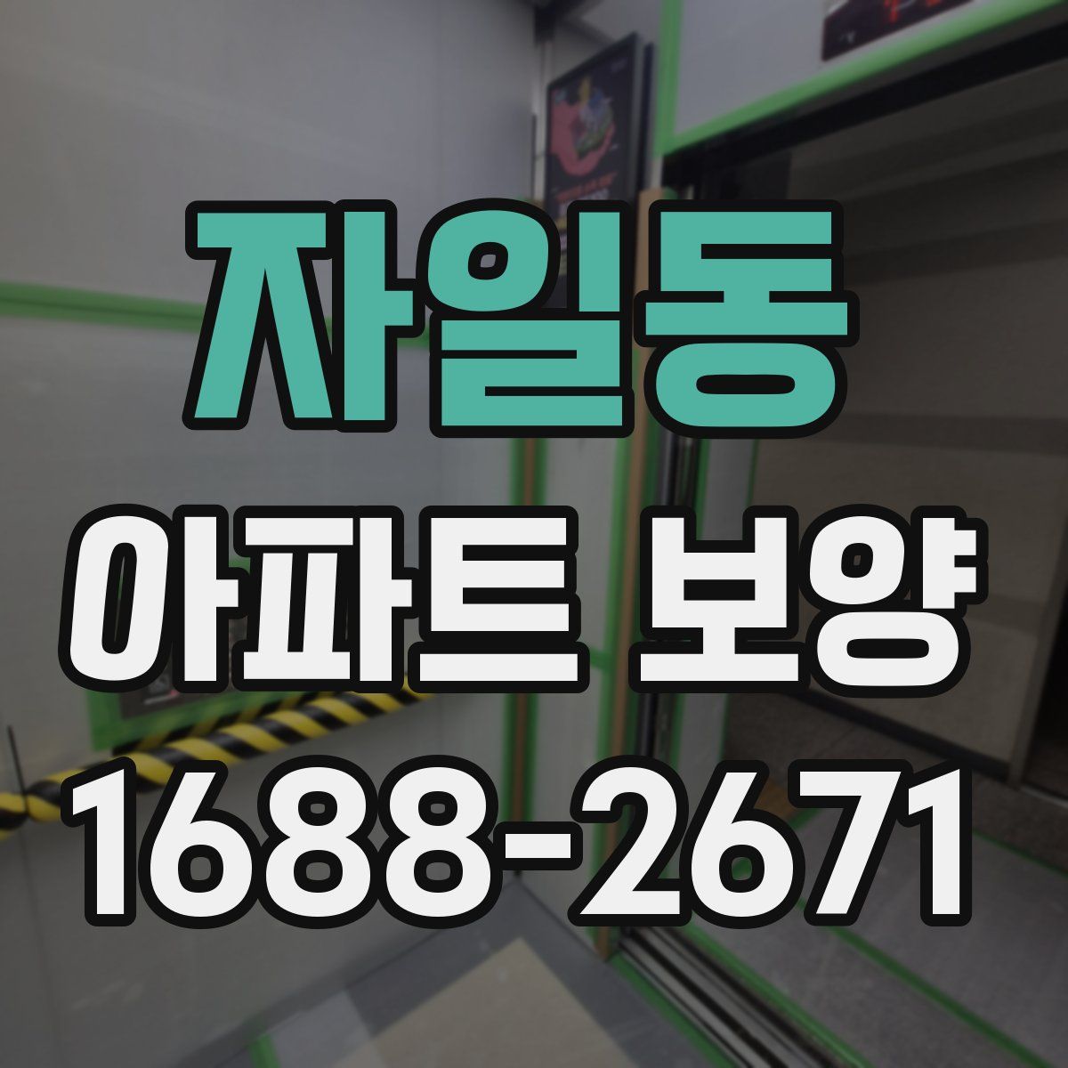 자일동 아파트 보양